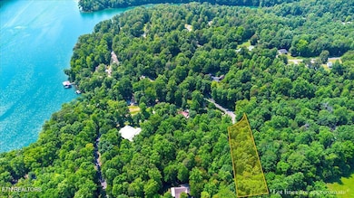19-Lot 4