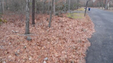 12 Angela Dr, Little Egg Harbor Township, NJ 08087 - photo 6