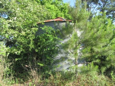 0 Mosley Rd, Uvalda, GA 30473 - photo 4