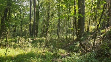 Nelson Corner Rd, Roxie, MS 39661 - photo 6