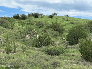00 Proctor Ln unit D-1, Patagonia, AZ 85624 - photo 6