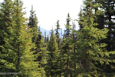 54533 Winchester Ave, Fritz Creek, AK 99603 - photo 7