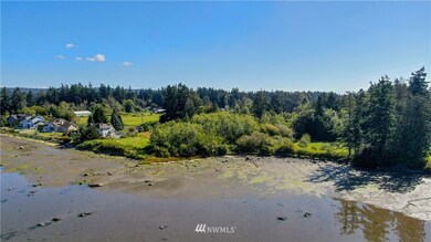 46 XXXX Hoyt Rd, Blaine, WA 98230 - photo 4
