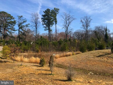 21810 Primrose Willow Ln unit F, Lexington Park, MD 20653 - photo 4