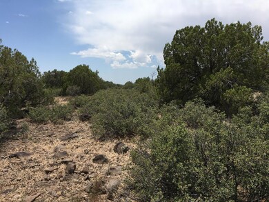 5322 N Kit Fox Trail unit 235, Kingman, AZ 86401 - photo 6