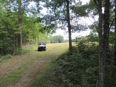 0 Stantons Ln, Greeneville, TN 37743 - photo 3