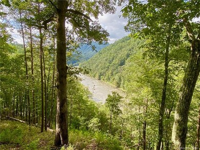 Reach out and touch the mighty French Broad River!