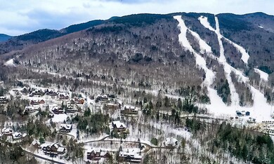 105 Crooked Mountain Rd unit 118-23, Lincoln, NH 03251 - photo 3