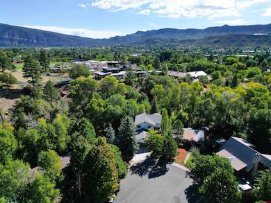 399 Needham Cir, Durango, CO 81301 - photo 3