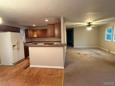 802 Bray Ave, Rolla, MO 65401 - photo 3