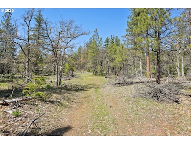 0 Nka Tyler Rd, Goldendale, WA 98620 - photo 7