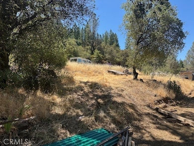 0 Black Bart Rd, Oroville, CA 95966 - photo 2