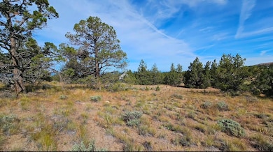 image1 (3)