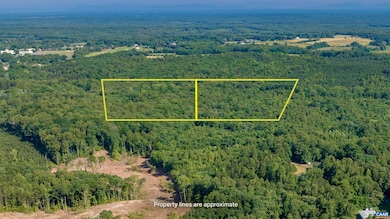 Lot 2 Stag Rd, Bremo Bluff, VA 23022 - photo 2