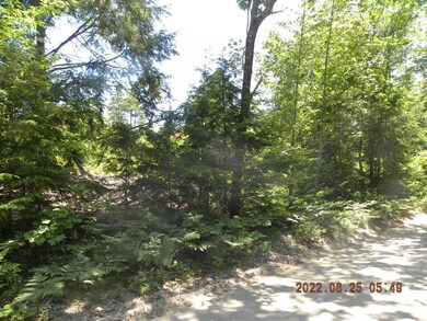 23rd street (4)