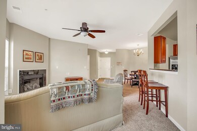 301 Lothian Way unit 204, Abingdon, MD 21009 - photo 5