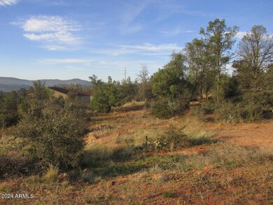 Photo 04