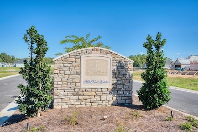 355 Barry Field Cir, Hahira, GA - photo 3