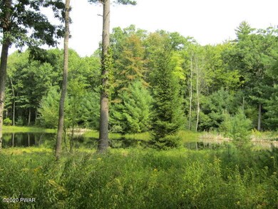 0 Bone Ridge Rd, Paupack Township, PA 18428 - photo 3