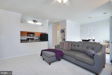 19625 Galway Bay Cir, Germantown, MD 20874 - photo 7