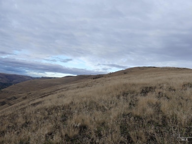 17550 Stoney Point, Juliaetta, ID 83535 - photo 4