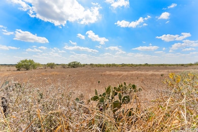 2849 Farm To Market Road 1333, Poteet, TX 78065 - photo 6