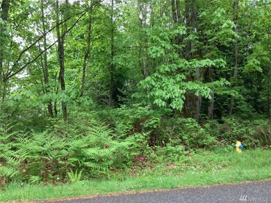 105 Puget Loop, Port Ludlow, WA 98365 - photo 2