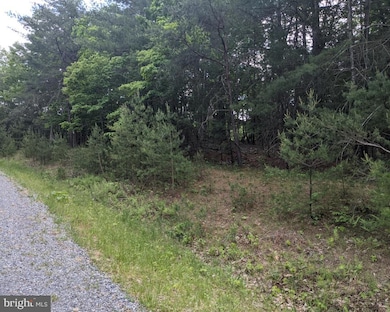 0 Slate Rock Run unit WVHD2003254, Wardensville, WV 26851 - photo 2