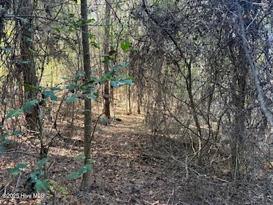 0 Knight Way SE, Winnabow, NC 28479 - photo 5