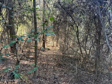 0 Knight Way SE unit 100542829, Winnabow, NC 28479 - photo 5