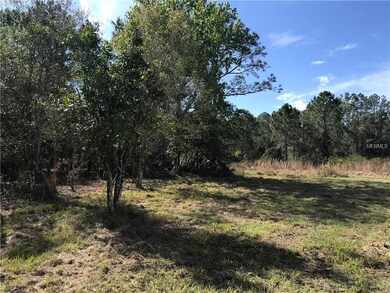 4670 Kola Rd, New Smyrna Beach, FL 32168 - photo 5