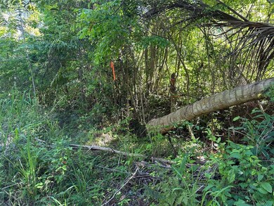 0 Carr 413 Interior, Rincon, PR 00677 - photo 5