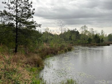 2285 Hempstead Road 16, Blevins, AR 71825 - photo 5