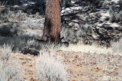 5000 W Hwy 50, Carson City, NV 89703 - photo 4