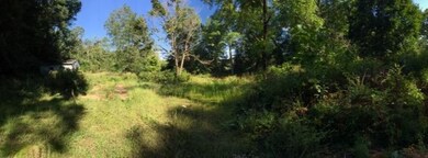 IMG_0368