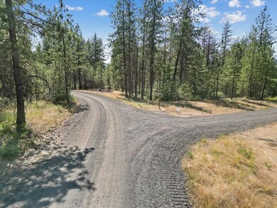 NKA Weaver Way unit Lot 3 of Lot 1, Deer Park, WA 99006 - photo 7