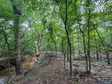 View of wooded area
