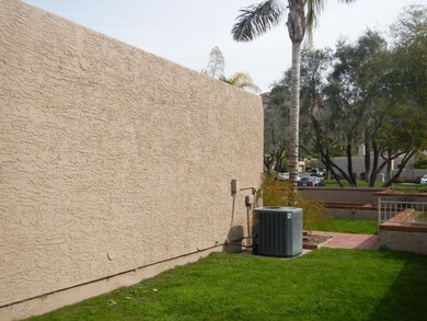 large grassy area south of the home