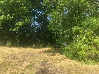 View.