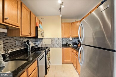 Mica Condominiums unit 1010, Silver Spring, MD 20910 - photo 7