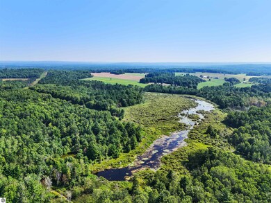 00 W Arnold Rd, Manton, MI 49663 - photo 7