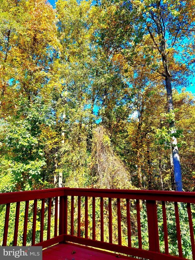 12511 Spring Harbor Place, Germantown, MD 20874 - photo 2