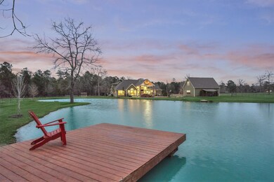 22936 Morgan Cemetery Rd, Cleveland, TX 77328 - photo 4