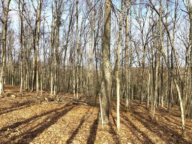 Lot 12 Briarcrest Dr, Lackawaxen Township, PA 18428 - photo 7