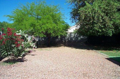 Backyard3
