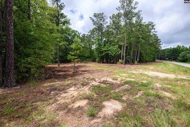 227 State Road S-32-145 unit LOT 3, Lexington, SC 29072 - photo 3