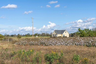 2482 Melba Rd, Pitts, GA 31072 - photo 4