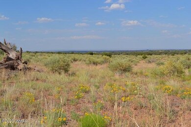 8775 E Concho Highway 007