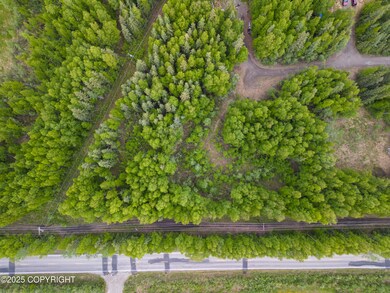 Drone View