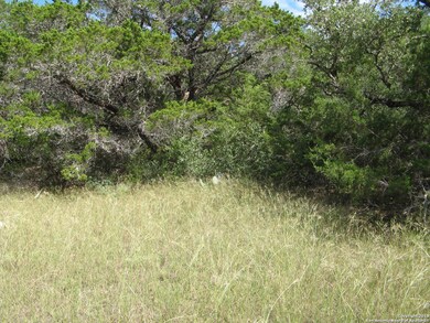 0 County Road 241, Hondo, TX 78861 - photo 2